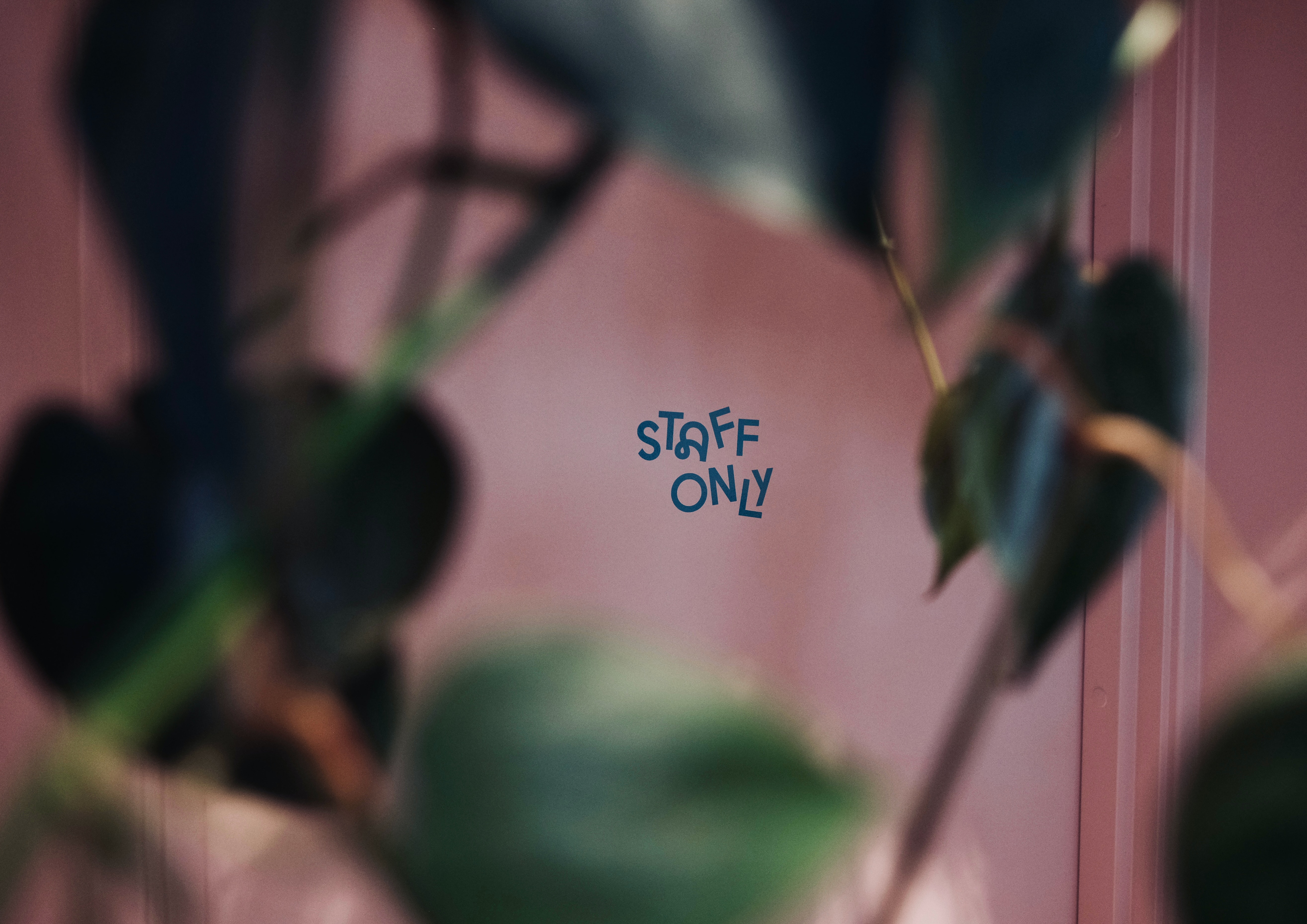 staff only