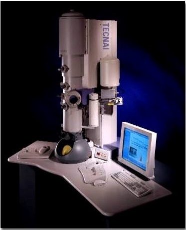 FEI Tecnai G2 F20
